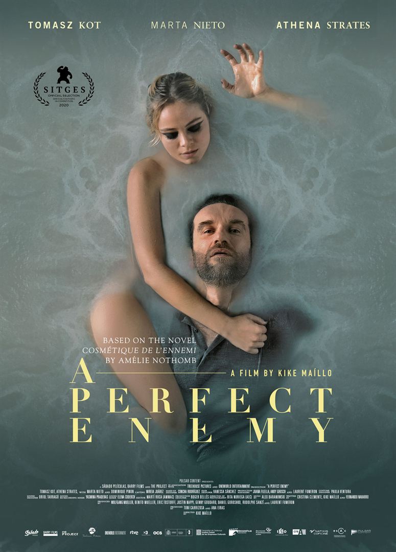 A Perfect Enemy FRENCH WEBRIP LD 2021