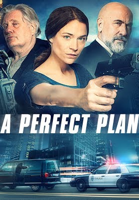 A Perfect Plan FRENCH DVDRIP LD 2020