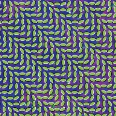 Animal Collective Merriweather Post Pavillon(2009)