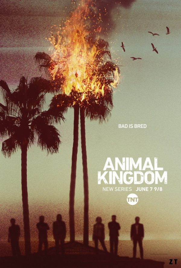 Animal Kingdom S02E06 FRENCH HDTV