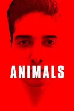 Animals FRENCH BluRay 1080p 2022