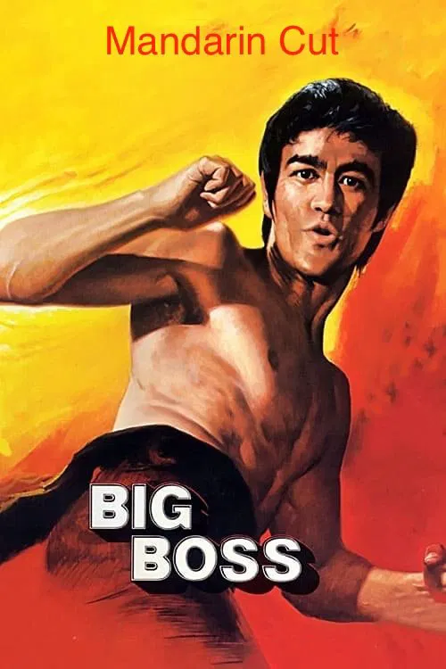 Big Boss MULTI TRUEFRENCH HDLight 1080p 1971