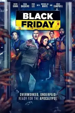 Black Friday TRUEFRENCH DVDRIP x264 2022