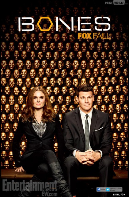 Bones S08E20 FRENCH HDTV