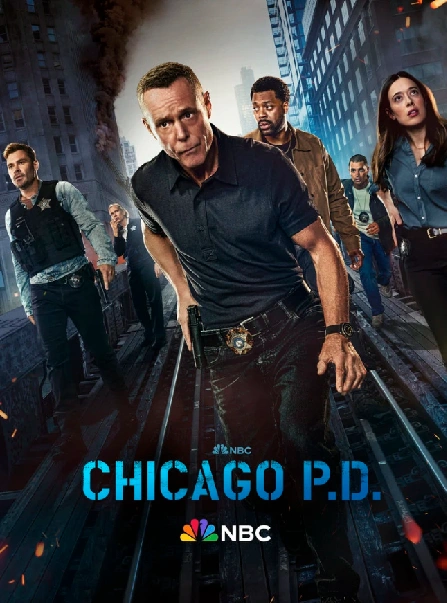 Chicago Police Department S12E02 FRENCH HDTV 2024