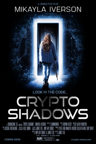 Crypto Shadows FRENCH WEBRIP LD 2024