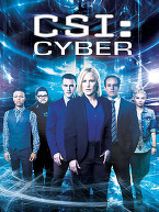 CSI: Cyber S01E13 FINAL FRENCH HDTV