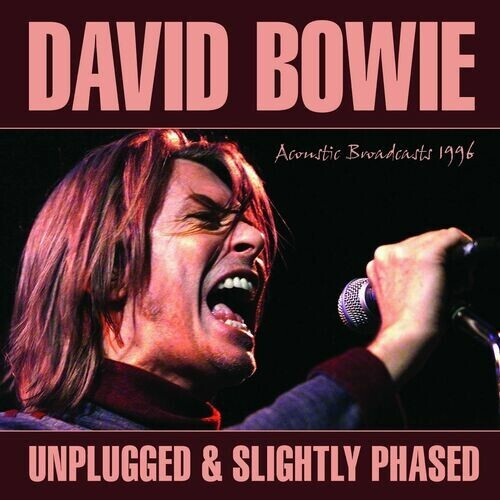 DAVID BOWIE - Unplugged & Slightly Phased 2019 - FLAC
