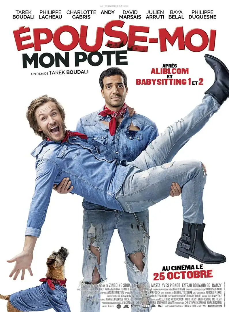 Epouse-moi mon pote FRENCH BluRay 720p 2017