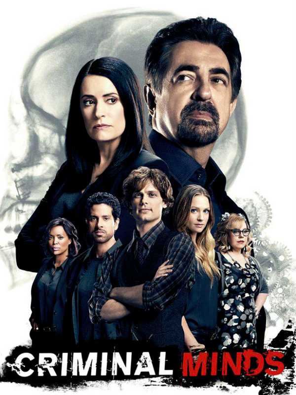 Esprits criminels (Criminal Minds) S12E14 FRENCH