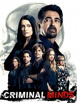 Esprits criminels (Criminal Minds) S13E19 VOSTFR