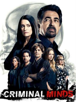 Esprits criminels (Criminal Minds) S14E06 VOSTFR