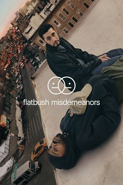 Flatbush Misdemeanors S01E04 FRENCH HDTV