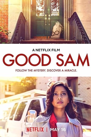 Good Sam FRENCH WEBRIP 1080p 2019