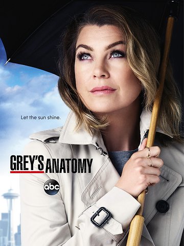 Grey's Anatomy S12E13 VOSTFR HDTV