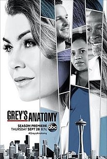 Grey's Anatomy S14E05 FRENCH HDTV