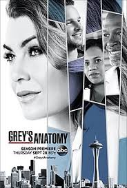 Grey's Anatomy S14E16 VOSTFR HDTV