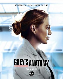 Grey's Anatomy S17E01 VOSTFR HDTV