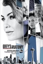 Grey's Anatomy Saison 14 FRENCH HDTV