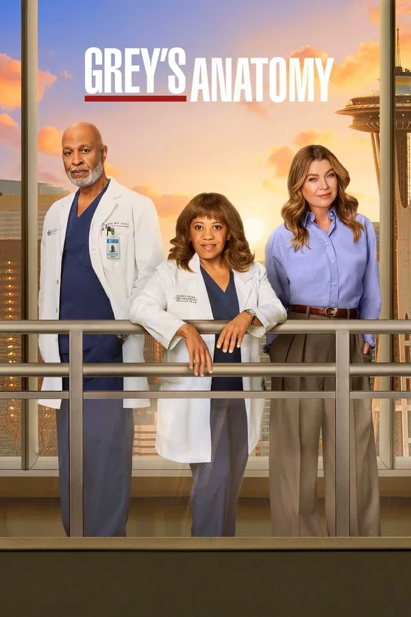Greys.Anatomy.S22E15.VOSTFR.WEBRip.x264