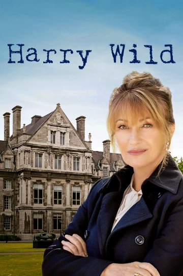 Harry Wild FRENCH S02E01 HDTV 2023