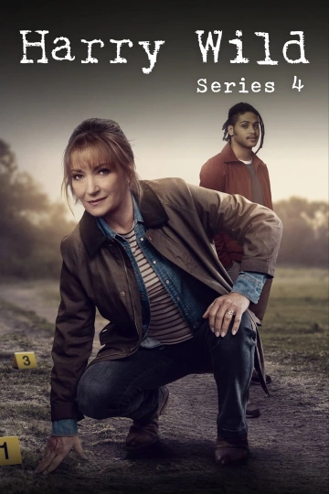 Harry Wild S04E05 FRENCH HDTV 2025