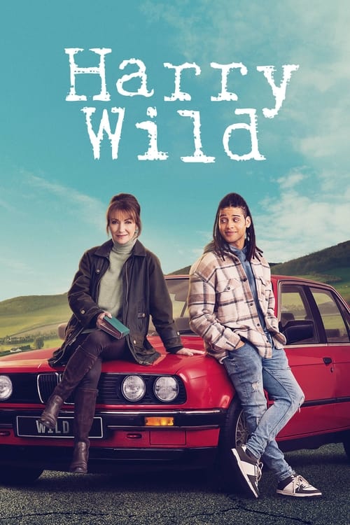 Harry Wild Saison 3 MULTI HDTV 1080p x265 2024