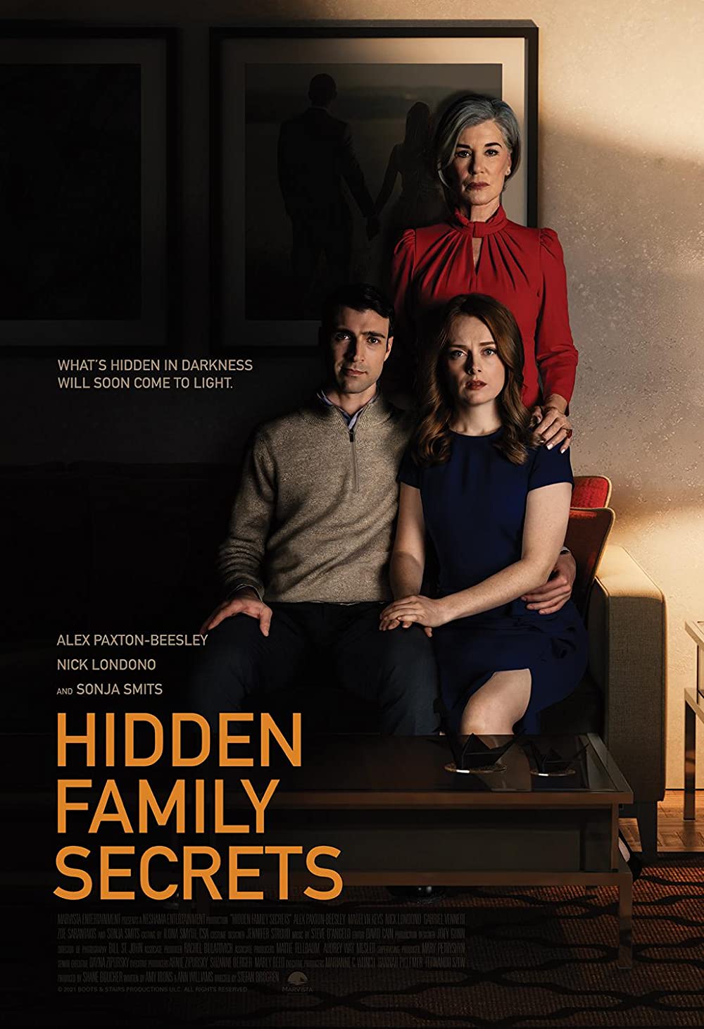 Hidden Family Secrets FRENCH WEBRIP 720p 2021