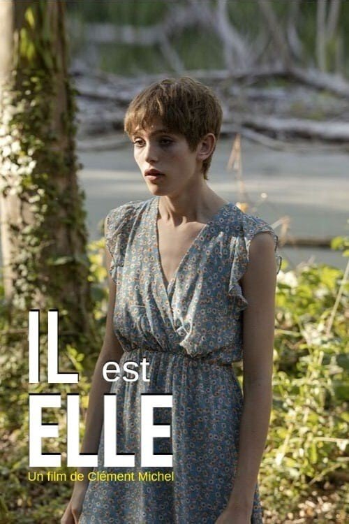 Il est elle Part.1 FRENCH HTDV 720p 2020