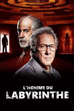 L'Homme du Labyrinthe FRENCH WEBRIP 2021