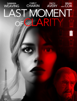 Last Moment of Clarity FRENCH WEBRIP 720p 2020