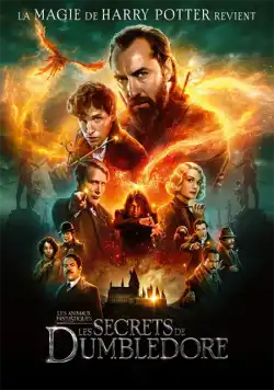 Les Animaux Fantastiques : les Secrets de Dumbledore FRENCH BluRay 720p 2022