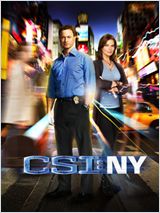 Les Experts : Manhattan S08E13 FRENCH HDTV
