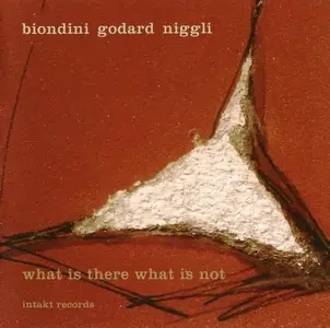 Luciano.Biondini.What.Is.There.What.Is.Not.2011[FLAC 896 kBit/s]-NOTAG
