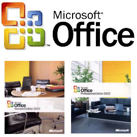 Microsoft Office 2003 Professional - English