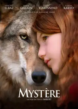 mystère FRENCH DVDRIP X264 2022