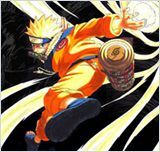 Naruto Shippuden 207 VOSTFR