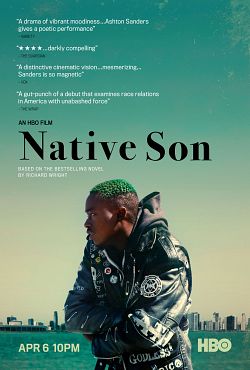 Native Son FRENCH WEBRIP 1080p 2019