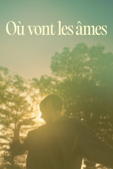 Ou.vont.les.ames.2025.FRENCH.1080p.WEB.H264-BULiTT