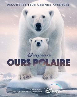 Ours Polaire FRENCH WEBRIP 2022
