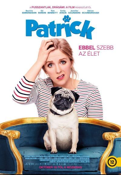 Patrick FRENCH WEBRIP 720p 2019