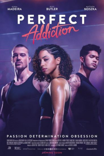 Perfect Addiction FRENCH WEBRIP x264 2023