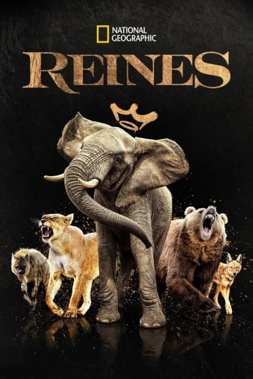 Reines Saison 1 (FRENCH) HDTV 2024