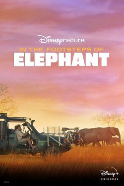 Sur la route des éléphants FRENCH WEBRIP 2021