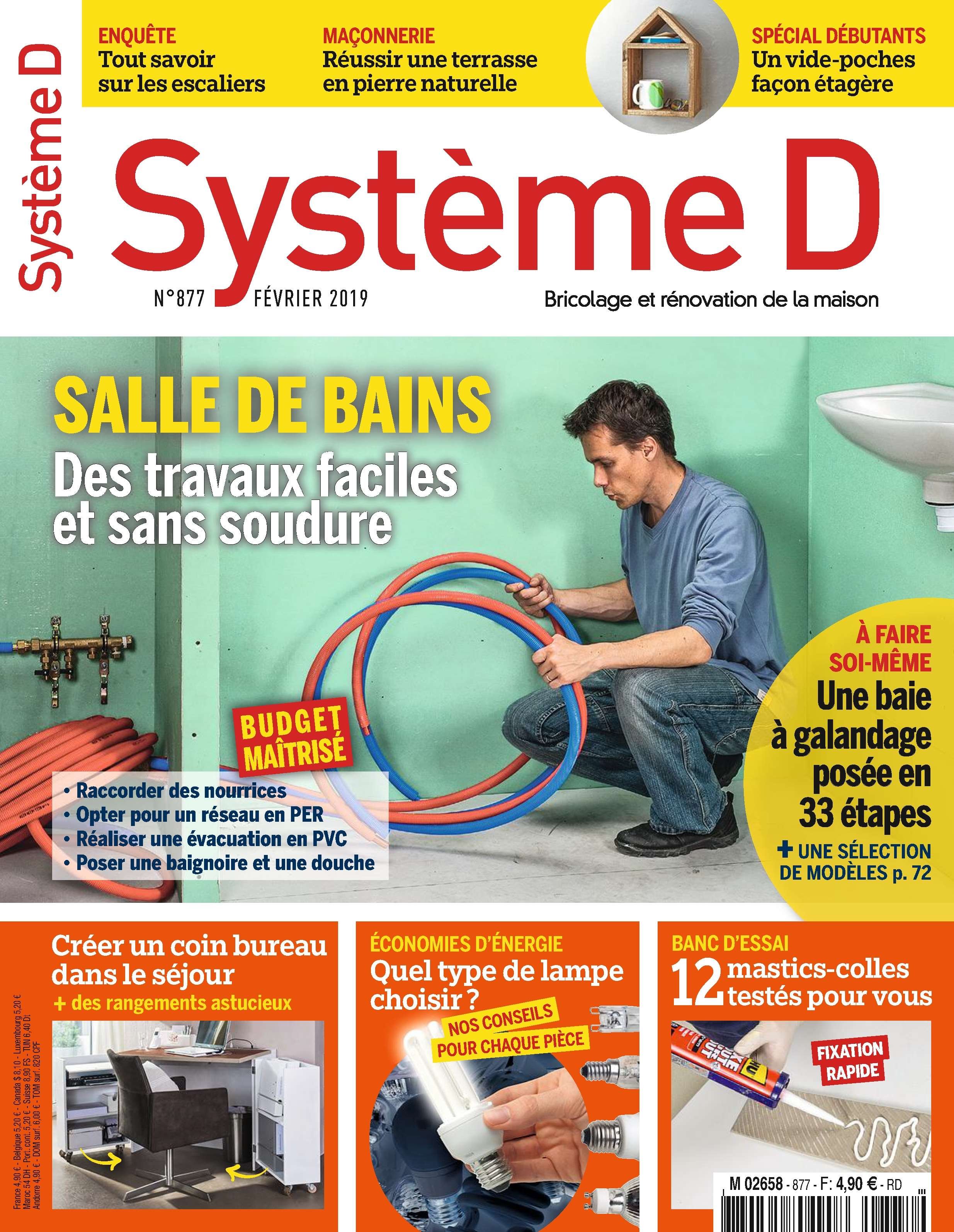 Système D N°877 - Février 2019