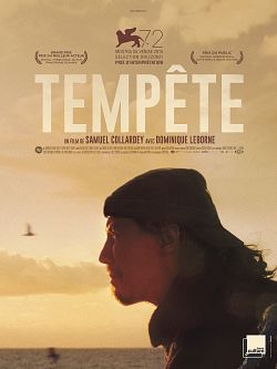 Tempête FRENCH WEBRIP 1080p 2022