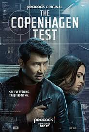 The Copenhagen Test S01E01 VOSTFR WEBRIP 1080p 2025