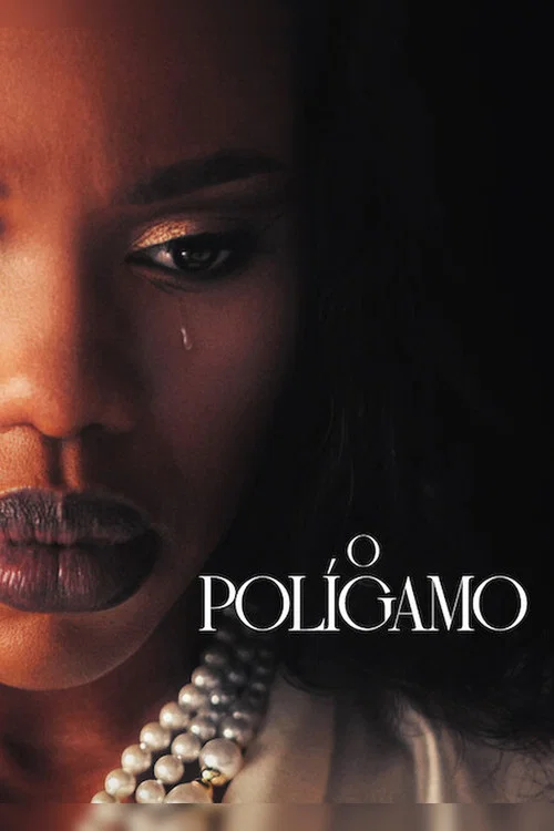 The.Polygamist.S01.MULTi.VFF.1080p.WEB.EAC3.5.1.H265-TyHD