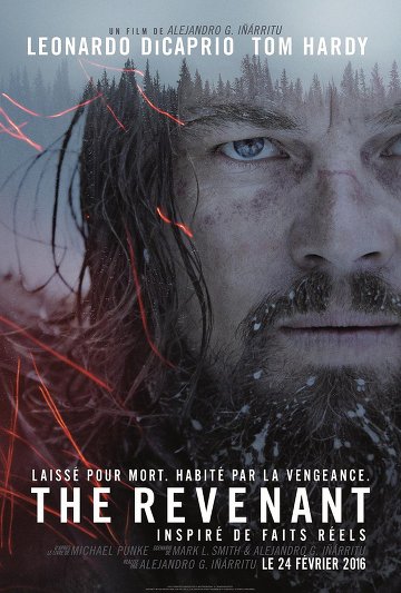 The Revenant VOSTFR DVDRIP 2016