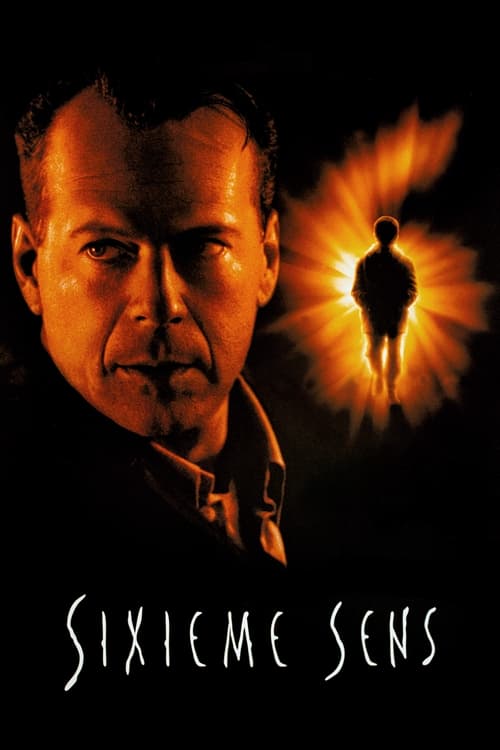 The.Sixth.Sense.1999.MULTi.VF2.1080p.HDLight.AC3.5.1.H264-LiHDL (Sixième sens)